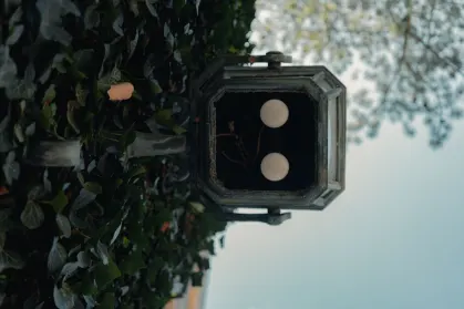 SpinTropolis Casino Aip Soghluaiste